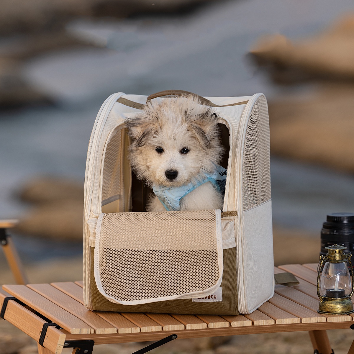 Pet Carrier Backpack Breathabl - Foldable Backpack Small recensione e prezzo