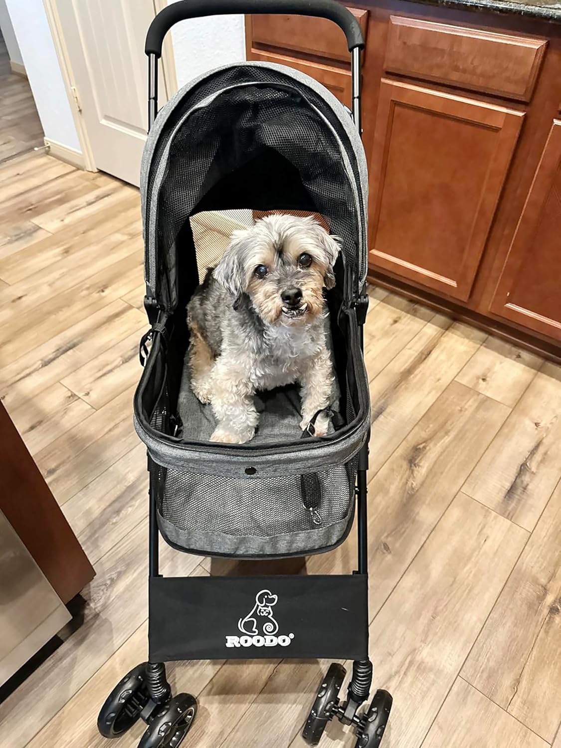 4 Wheel Dog Cat Pet Stroller,  - Foldable Backpack Small recensione e prezzo
