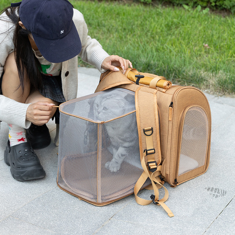 Portable cat bag, expandable l - Foldable Backpack Small recensione e prezzo