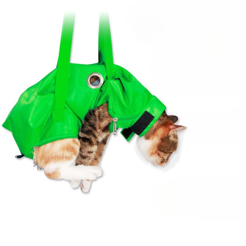 Portable Cat Backpack Pet Summ - Foldable Backpack Small recensione e prezzo